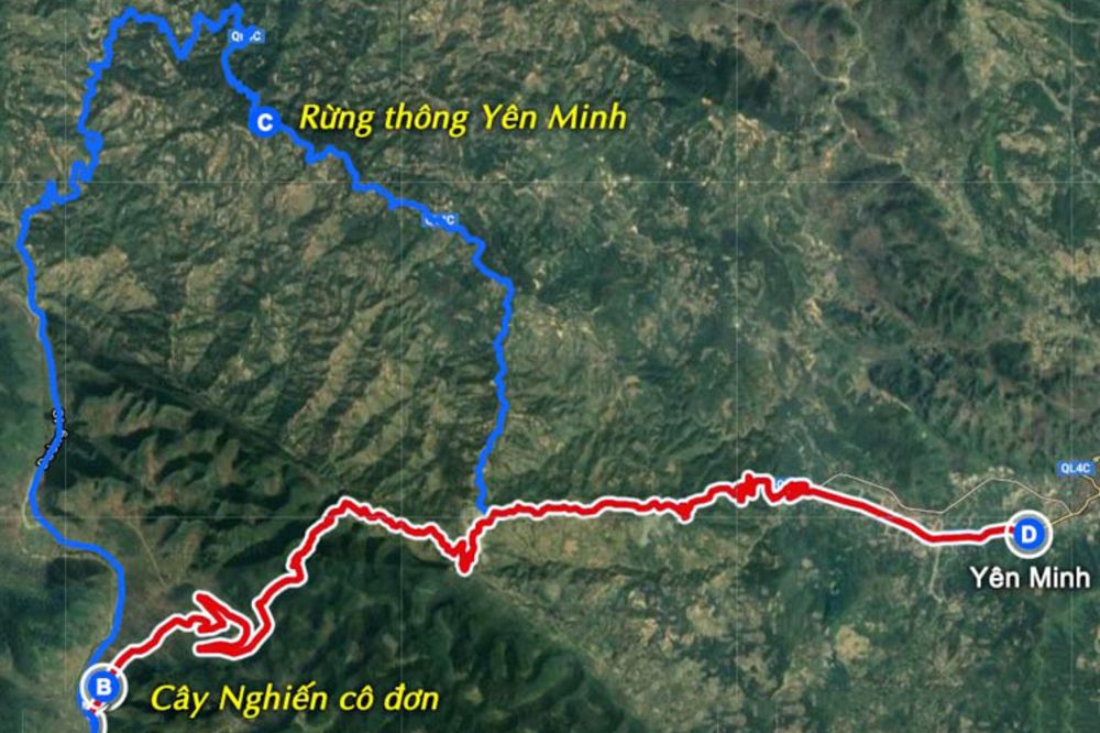 Ky Nghi Dong Duong 6643 1681138255
