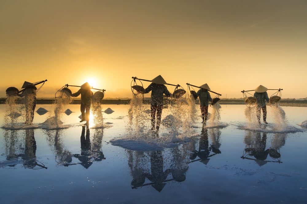 Salt Harvesting 3060093 1920
